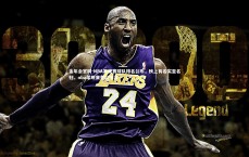 金年会官网-NBA常规赛球队排名公布，榜上有名实至名归，nba常规赛各队排名