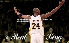 金年会官网-猛龙情侣生活术赢下火箭队，也没胜利，猛龙和热火最新比赛分析